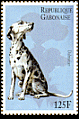 Dalmatian