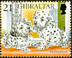 Dalmatian - Gibraltar